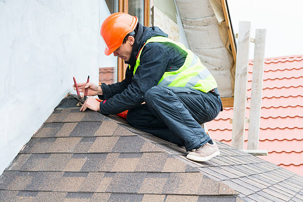 Best Roof Gutter Cleaning  in Summersville, WV
